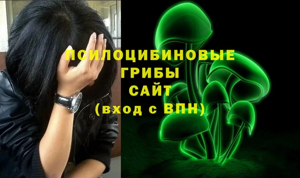 хмурый Куйбышев